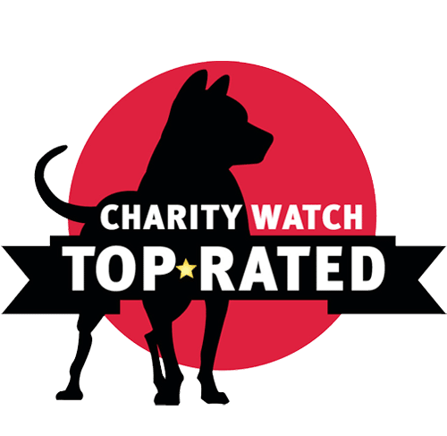Charity Watch Top Rated